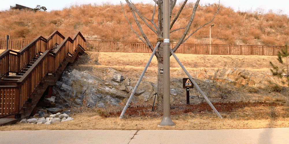 v10.gif