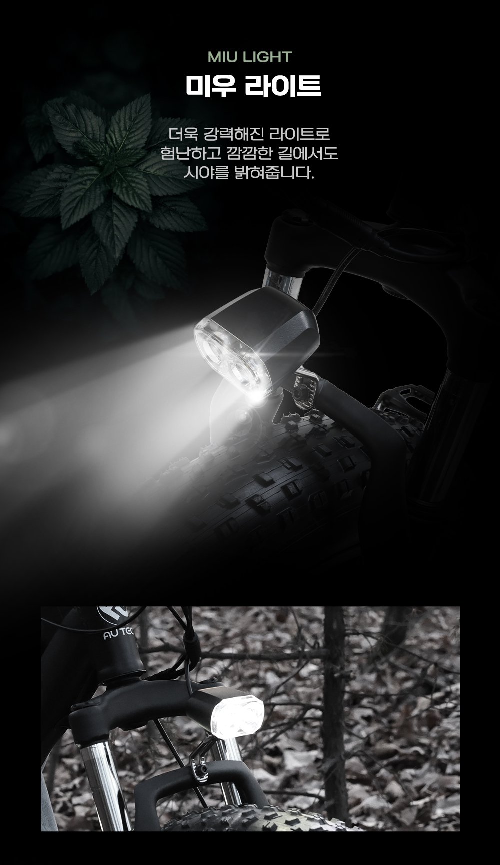 d9.jpg