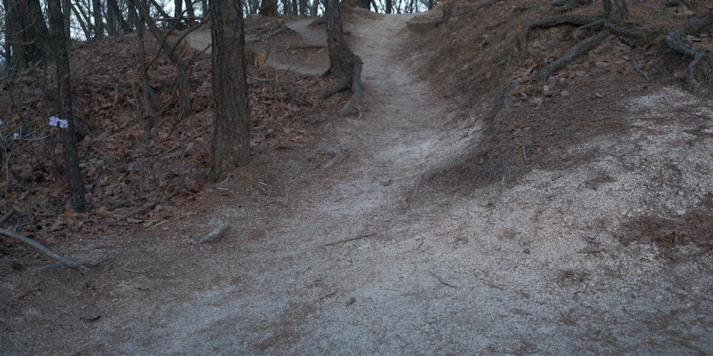 d16.gif