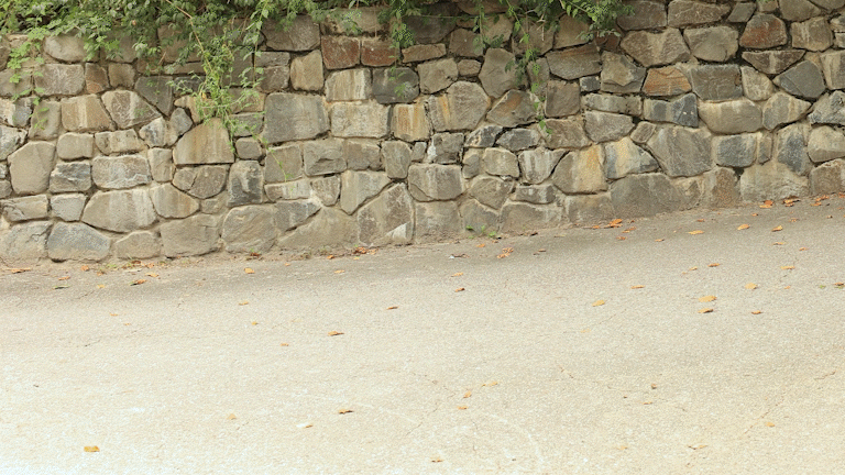 f3.gif